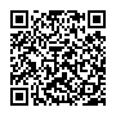 QR code for ZST699