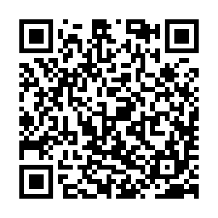 QR code for ZTB994