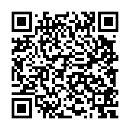 QR code for ZTL008