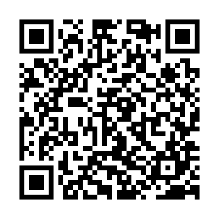 QR code for ZTO384