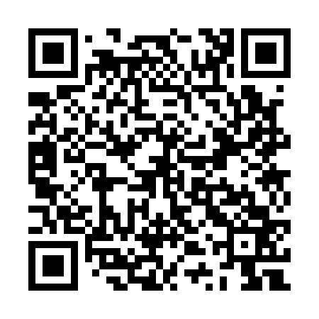 QR code for ZTS163