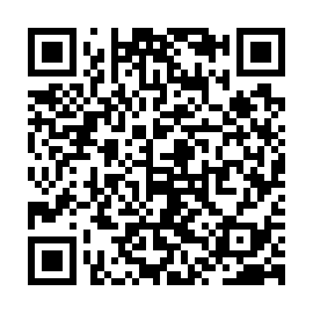 QR code for ZTW739