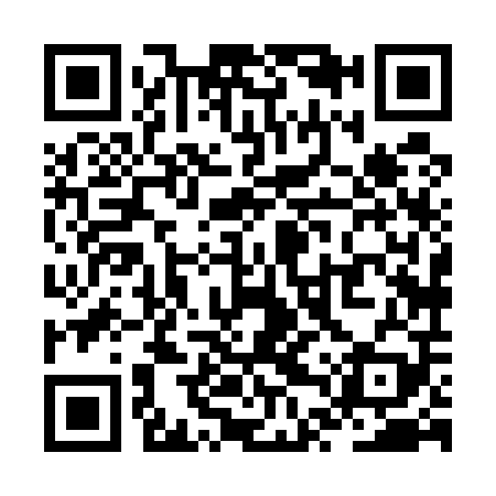 QR code for ZTX509