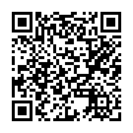 QR code for ZUK374