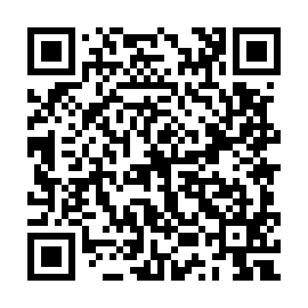 QR code for ZUM595