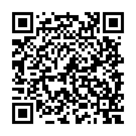 QR code for ZUN597