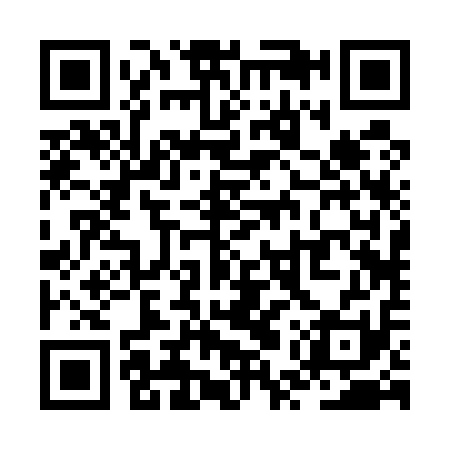 QR code for ZUR511