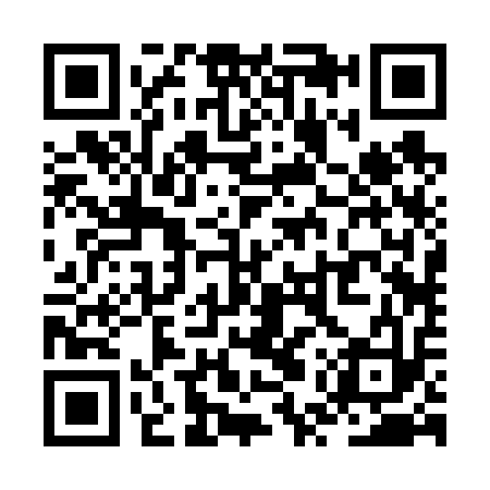 QR code for ZUR613