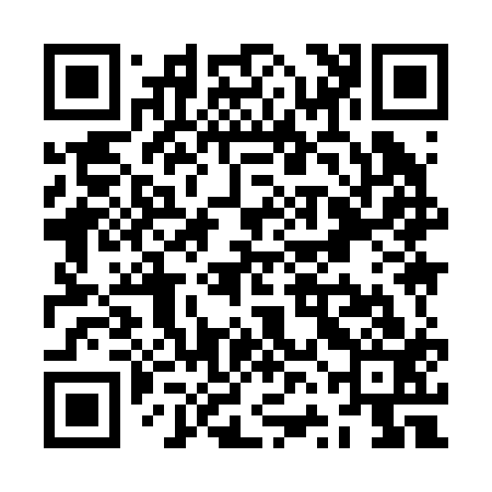 QR code for ZVI213
