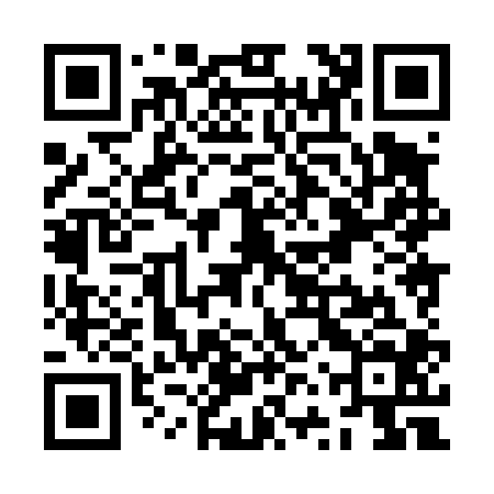 QR code for ZVX404