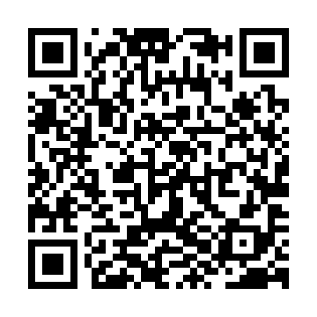 QR code for ZXL398