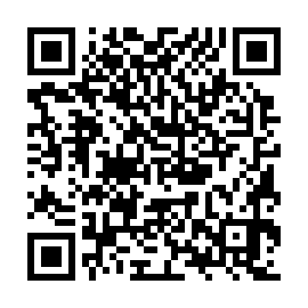 QR code for ZXU370