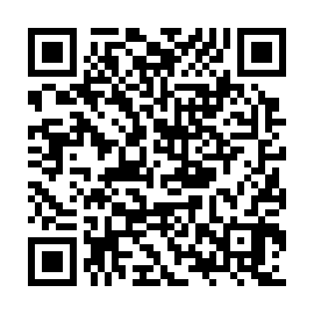QR code for ZXV302