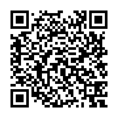 QR code for ZXW938