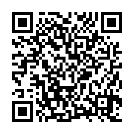 QR code for ZYB534