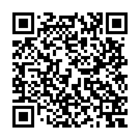 QR code for ZYC523