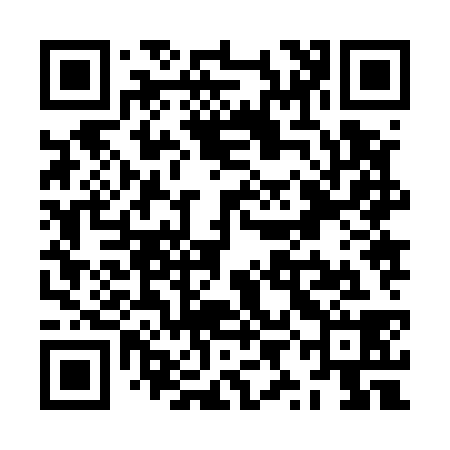 QR code for ZYJ538