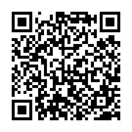QR code for ZYL606