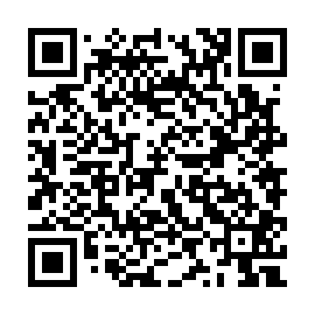 QR code for ZYN101