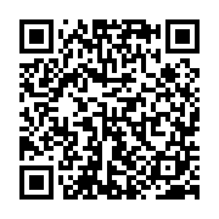 QR code for ZYN141
