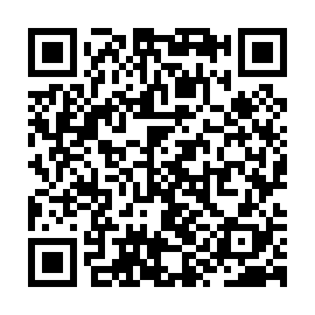 QR code for ZYO028