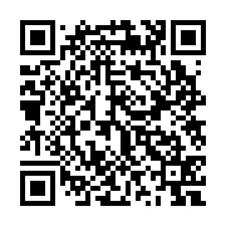 QR code for ZYR335