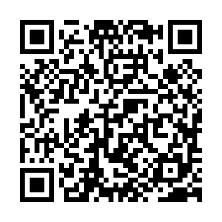 QR code for ZYZ095