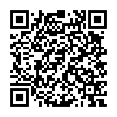 QR code for ZZG475