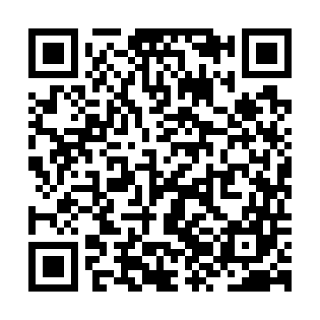 QR code for ZZI747