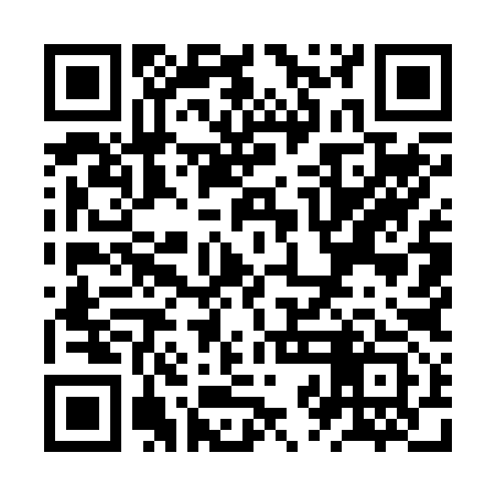 QR code for ZZM293