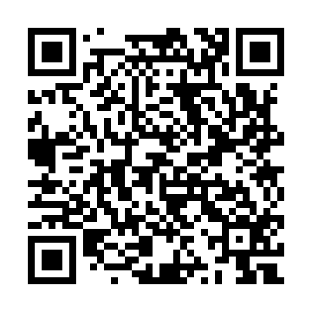 QR code for ZZS916