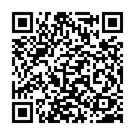 QR code for 009MSX