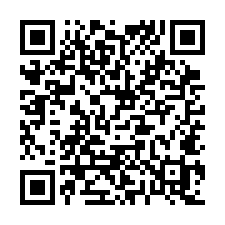 QR code for 029SMI