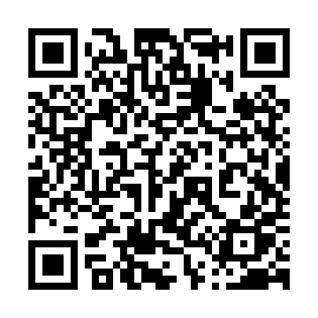 QR code for 042PPP