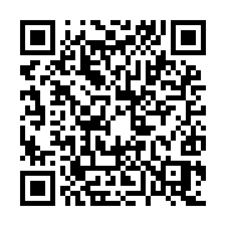 QR code for 063IIS