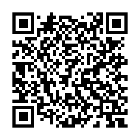 QR code for 095NES
