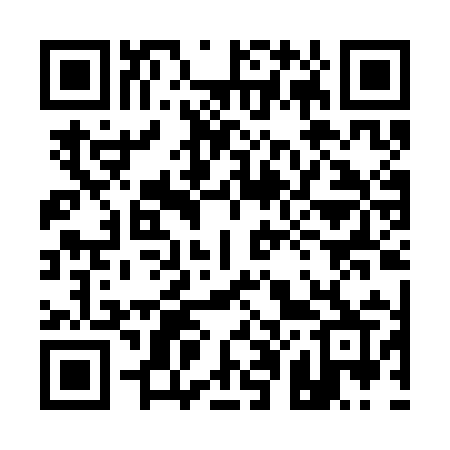 QR code for 100CIR