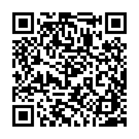 QR code for 110PZC