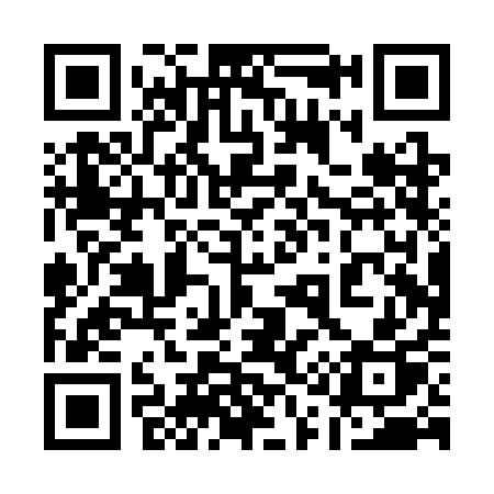 QR code for 110SAP