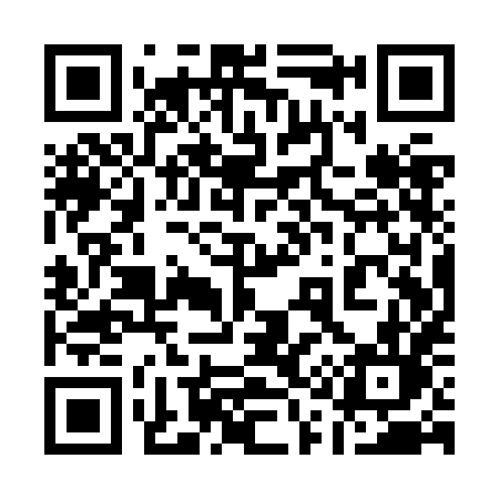 QR code for 111ZHL