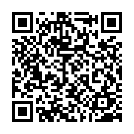 QR code for 113MST
