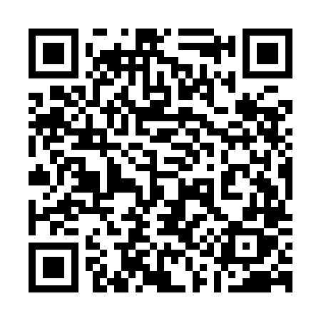 QR code for 119ILX