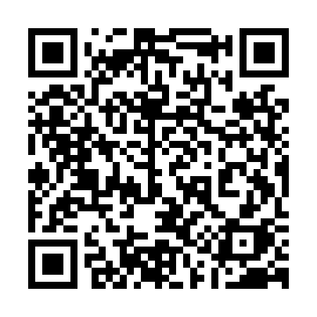 QR code for 119LSH