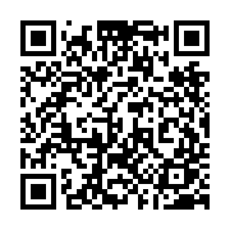 QR code for 133NDP