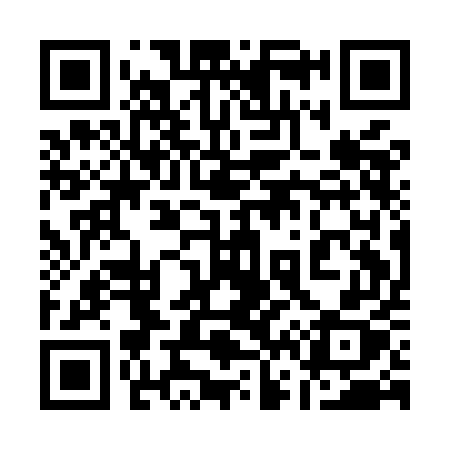 QR code for 161MEX