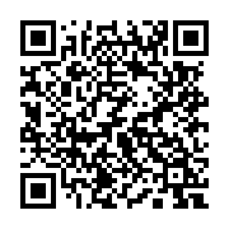 QR code for 161MZN