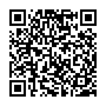 QR code for 161QIS
