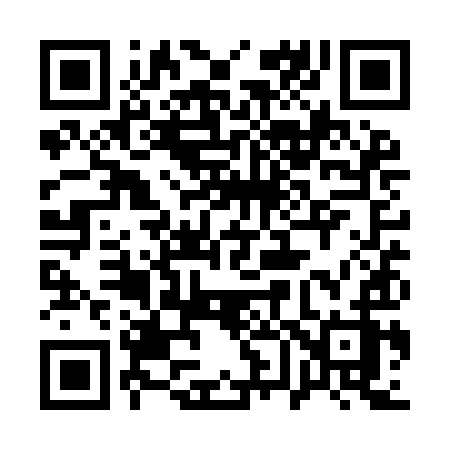 QR code for 161YIZ