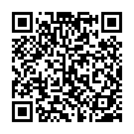 QR code for 162PPI