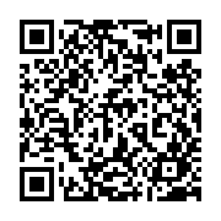 QR code for 173DYN